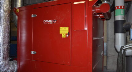 Jednostka ssaca disab pes.jpg